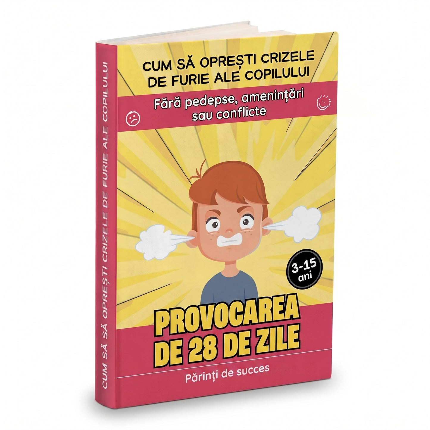 Provocarea de 28 de zile – Fără crize de furie
